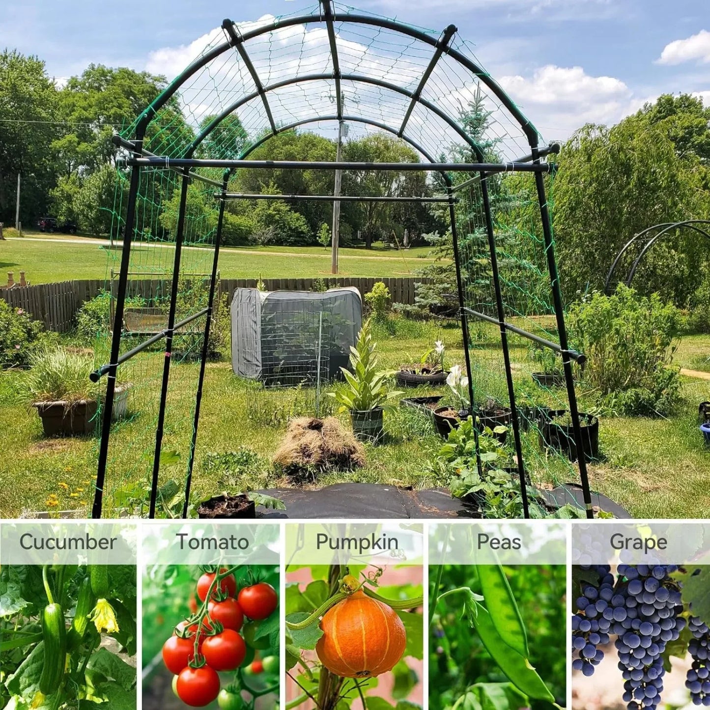 Garden arch trellis for climbing plants outdoor