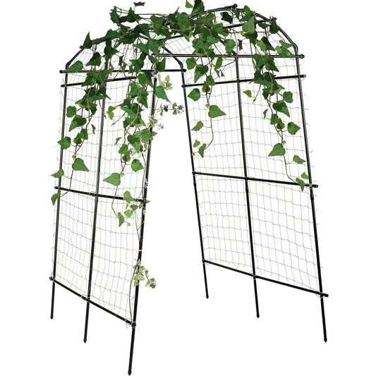 Garden arch trellis for climbing plants outdoor