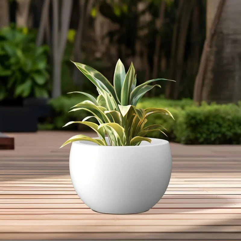 Large Bowl Plant Pots with Drainage Hole