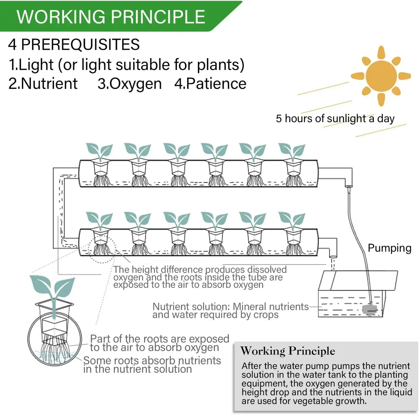 Hydroponics Growing System Kits Cultivation Garden