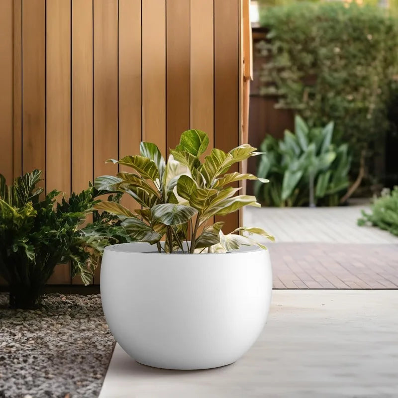 Large Bowl Plant Pots with Drainage Hole