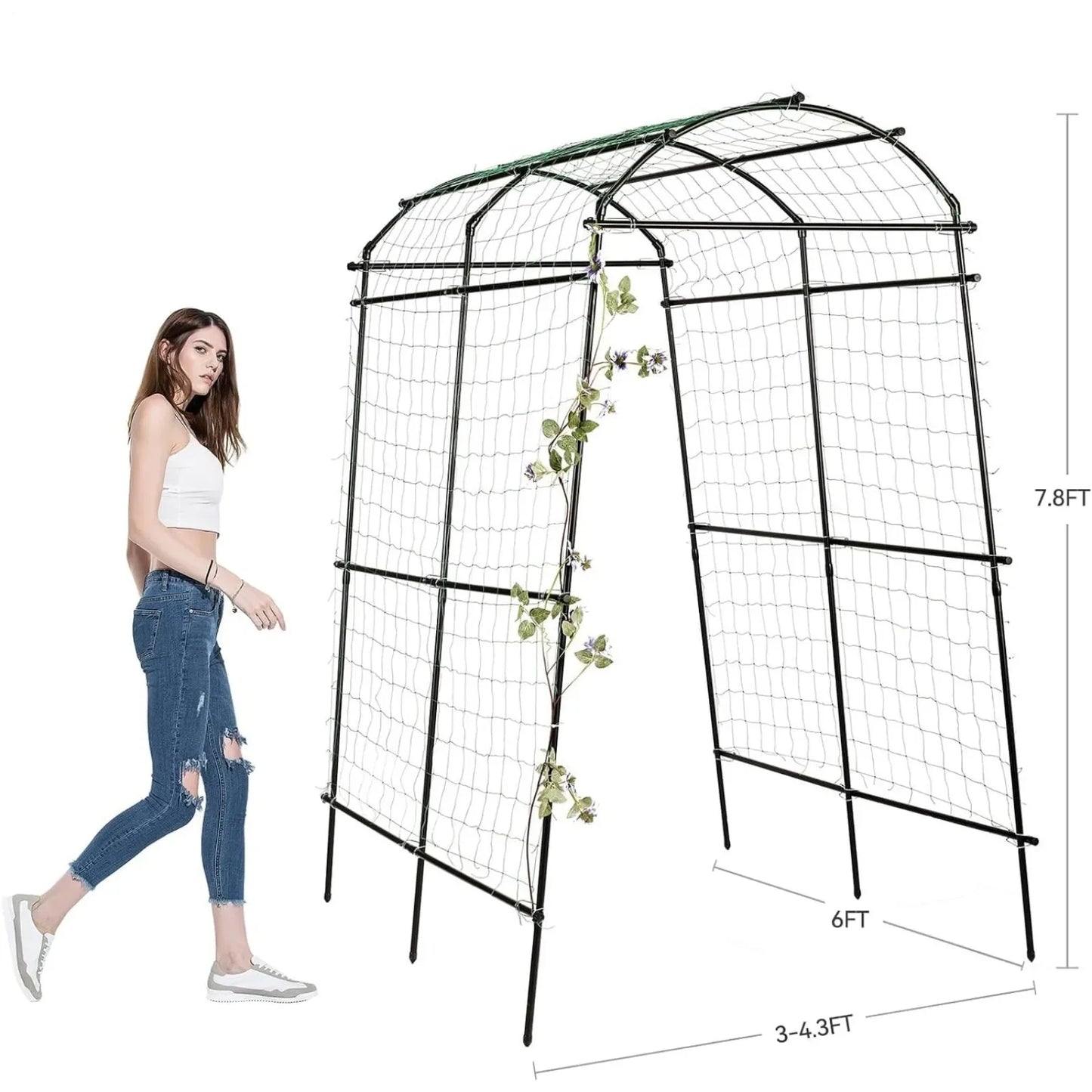 Garden arch trellis for climbing plants outdoor