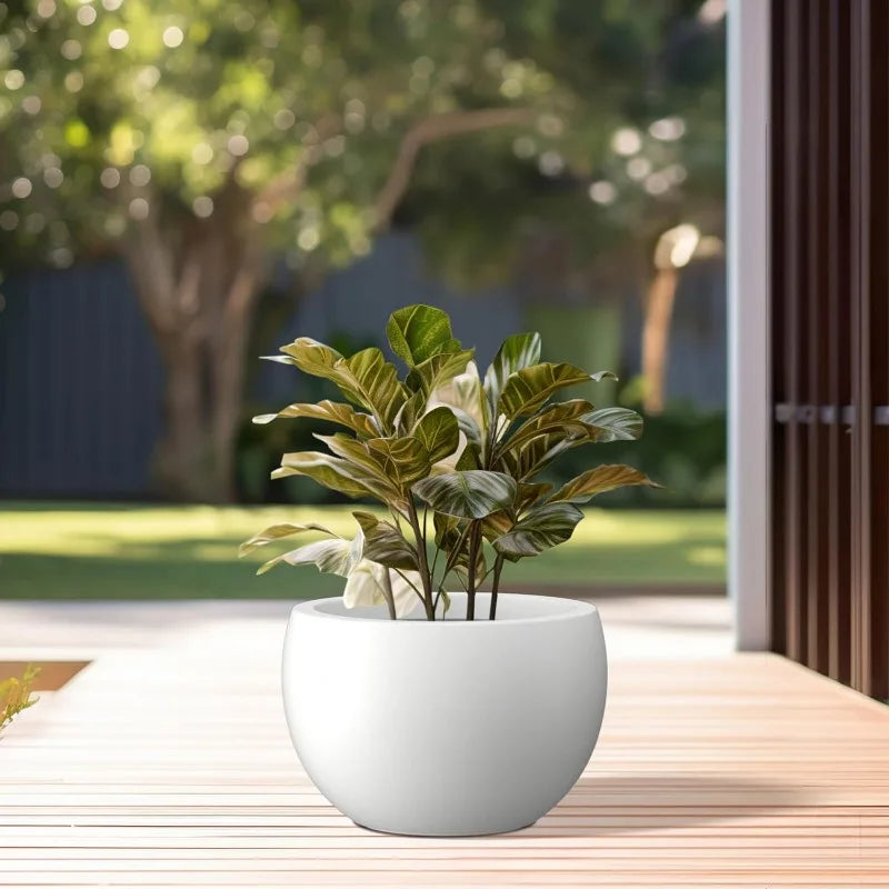 Large Bowl Plant Pots with Drainage Hole