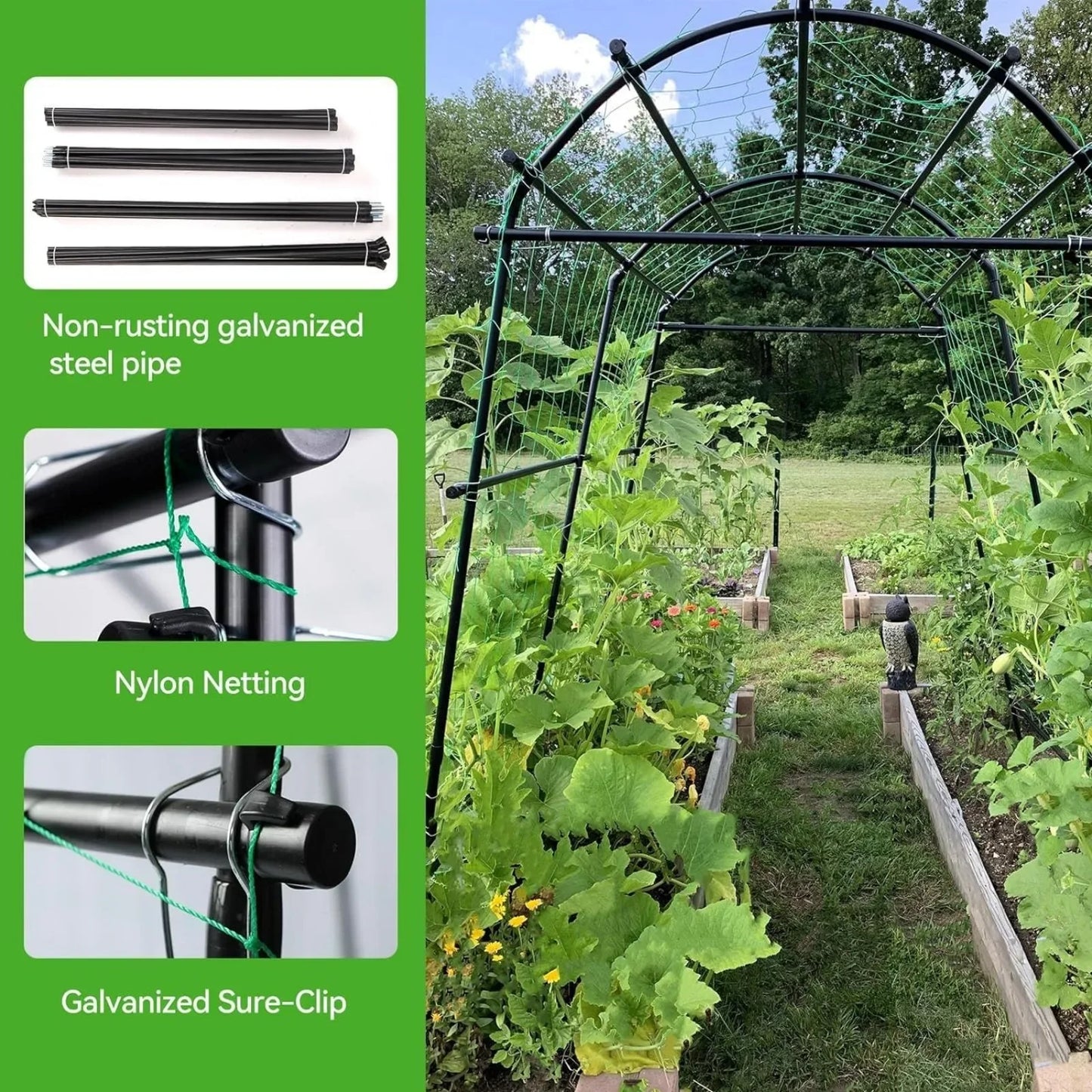 Garden arch trellis for climbing plants outdoor